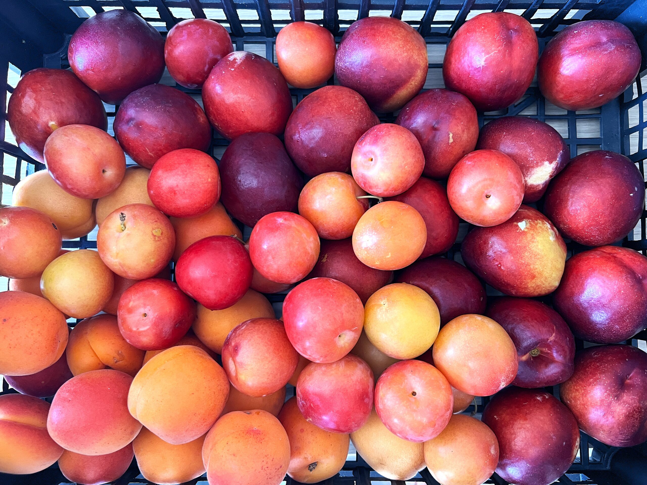 Frutta in Ufficio